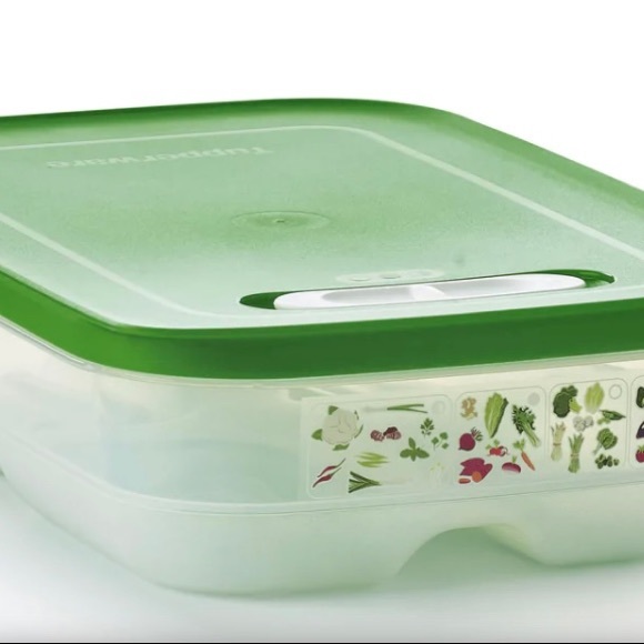 Tupperware Kitchen Tupperware Medium Wintergreen Fridge Smart